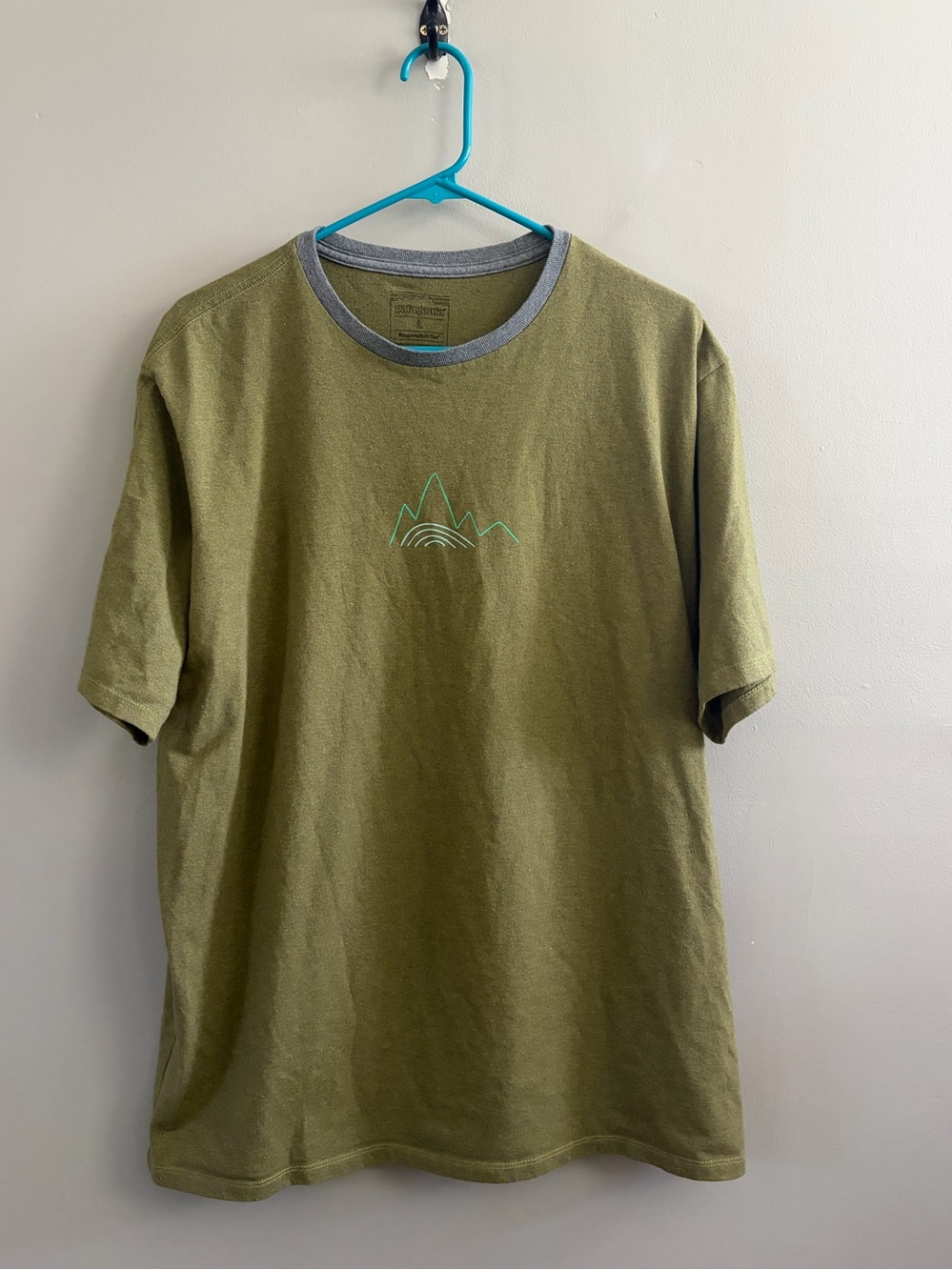 Patagonia Men's T Shirt Size Large Green Mountain Design